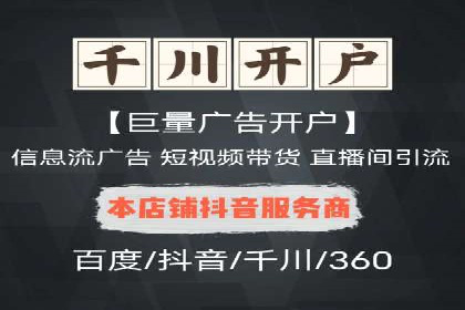SEM推广实战：成功案例解读与策略调整